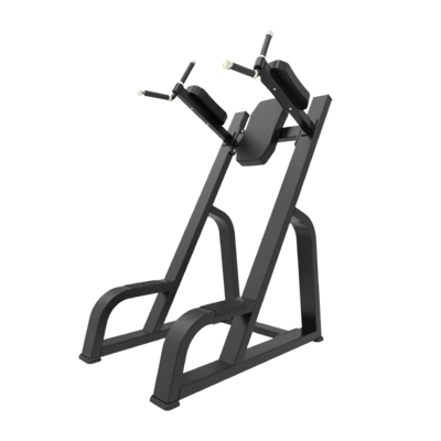 Vertical Knees Up / Dip