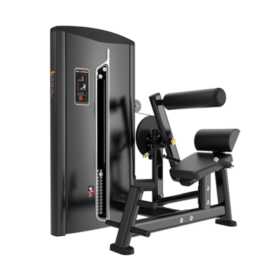 Abdominal Crunch / Lower Back