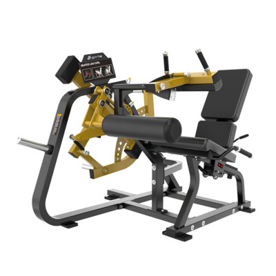 SEATED LEG CURL